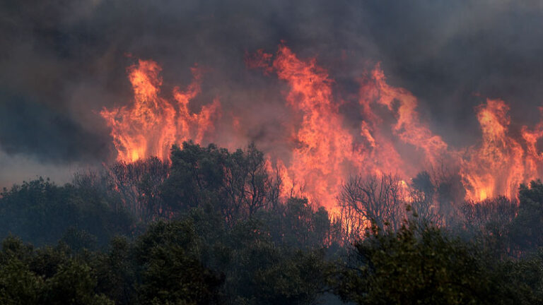 Φωτιά σε δασική έκταση στη Λακωνία